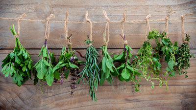 An Overview of Herbal Treatment Philosophies
