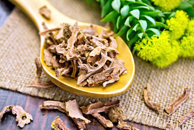 Rhodiola: An Herbal Option for Increasing Energy and Combatting Stress