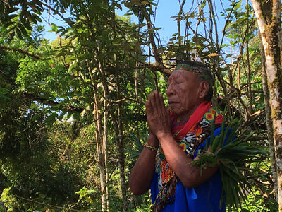 How Shamans Have Used the Magical Powers of Plants for Centuries
